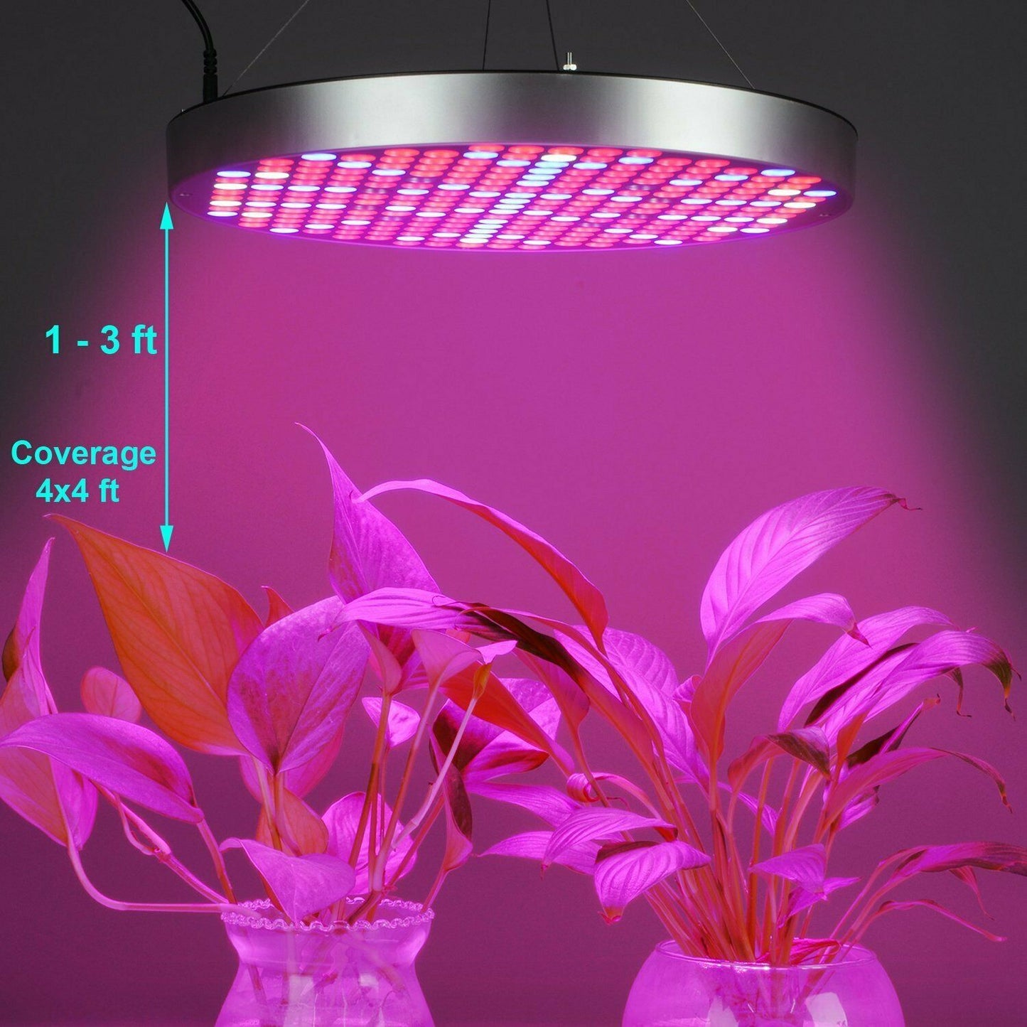 50W Fill Light Round Shape Plant Growth Lamp Plant Light Full Spectrum LED Light