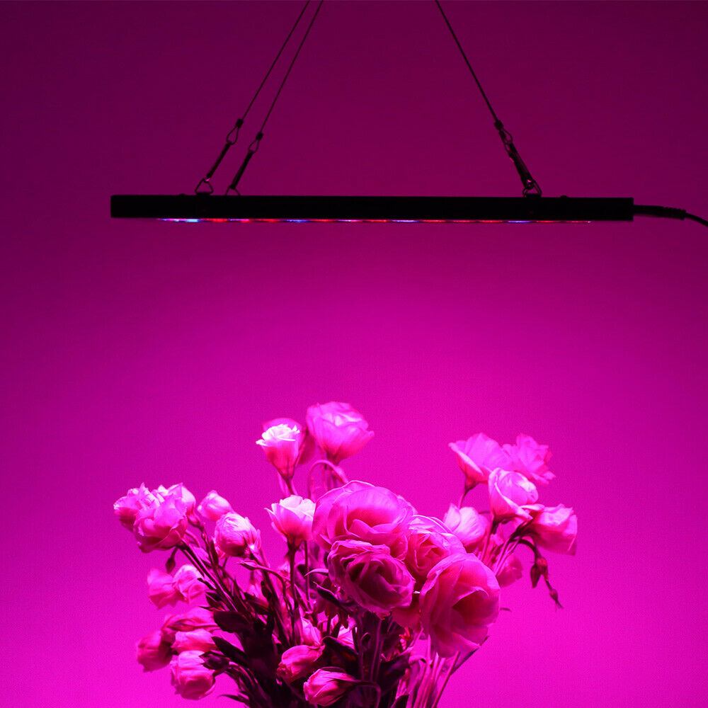 2000W LED crece la lámpara del panel de luz IR UV espectro completo planta hidropónica flor vegetal