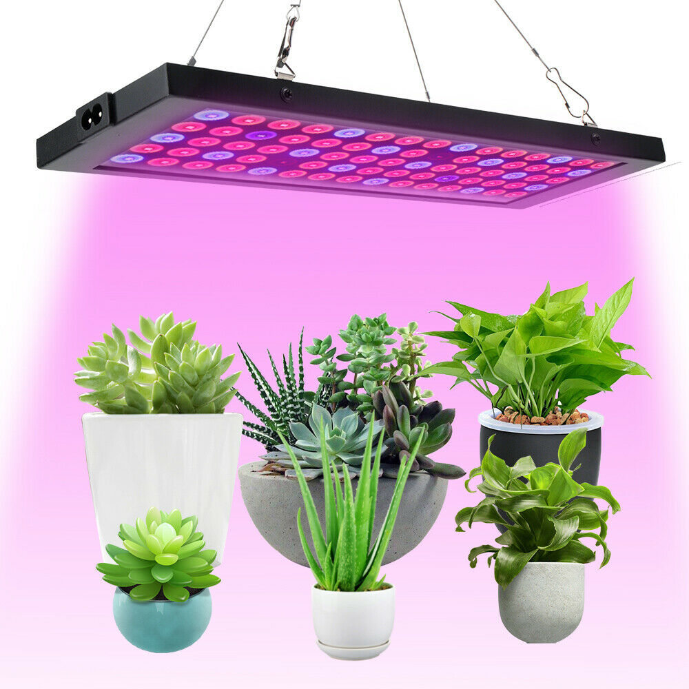 2000W LED crece la lámpara del panel de luz IR UV espectro completo planta hidropónica flor vegetal