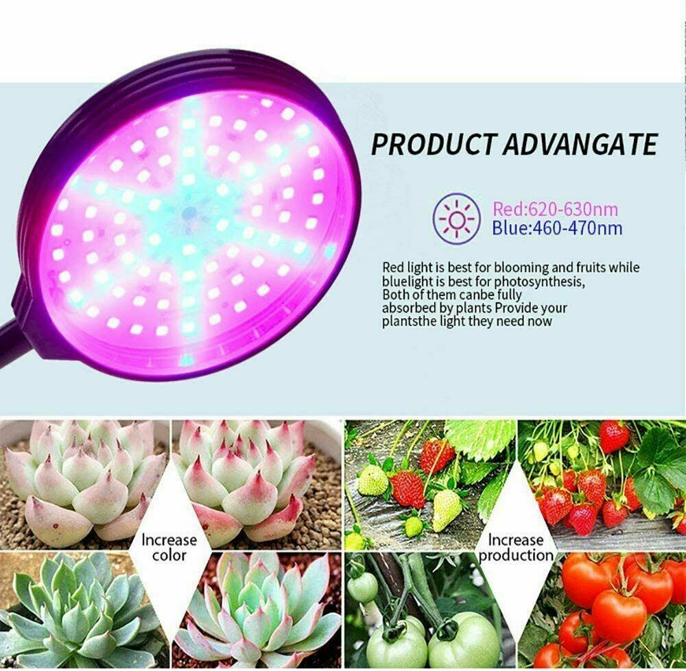 Lámpara de cultivo LED de 30W para plantas de interior, floración de flores hidropónicas vegetales