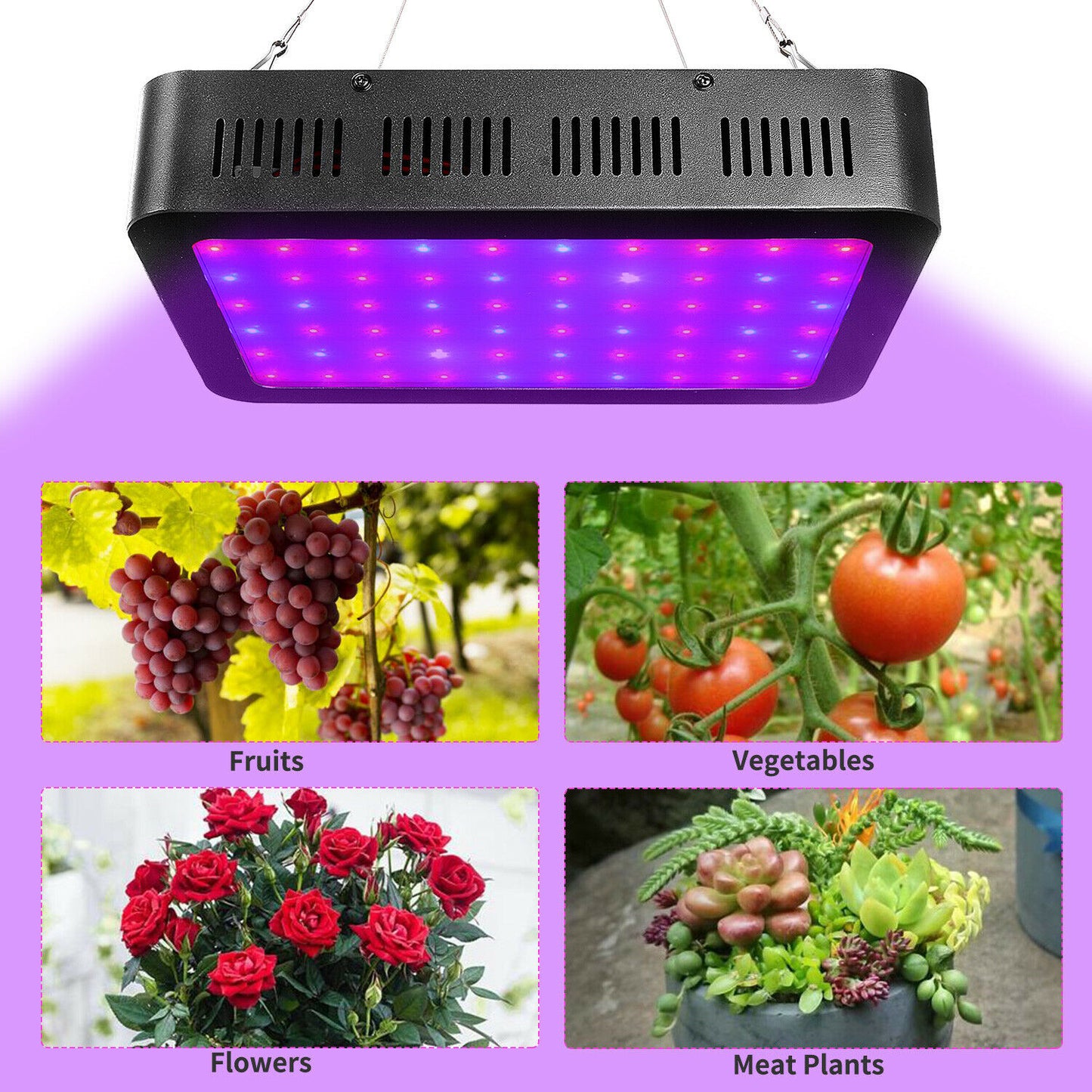 Luz de cultivo LED de espectro completo VEG y interruptor dual Bloom