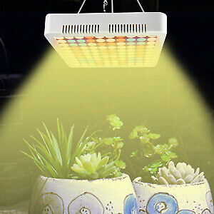 5000W LED crece la lámpara creciente hidropónica del tubo del espectro completo ligero para la planta de interior