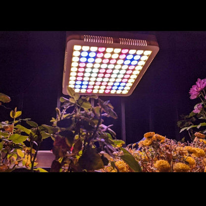 5000W LED Grow Light Full Spectrum Tube Growing Lamp Hydroponic For Indoor Plant