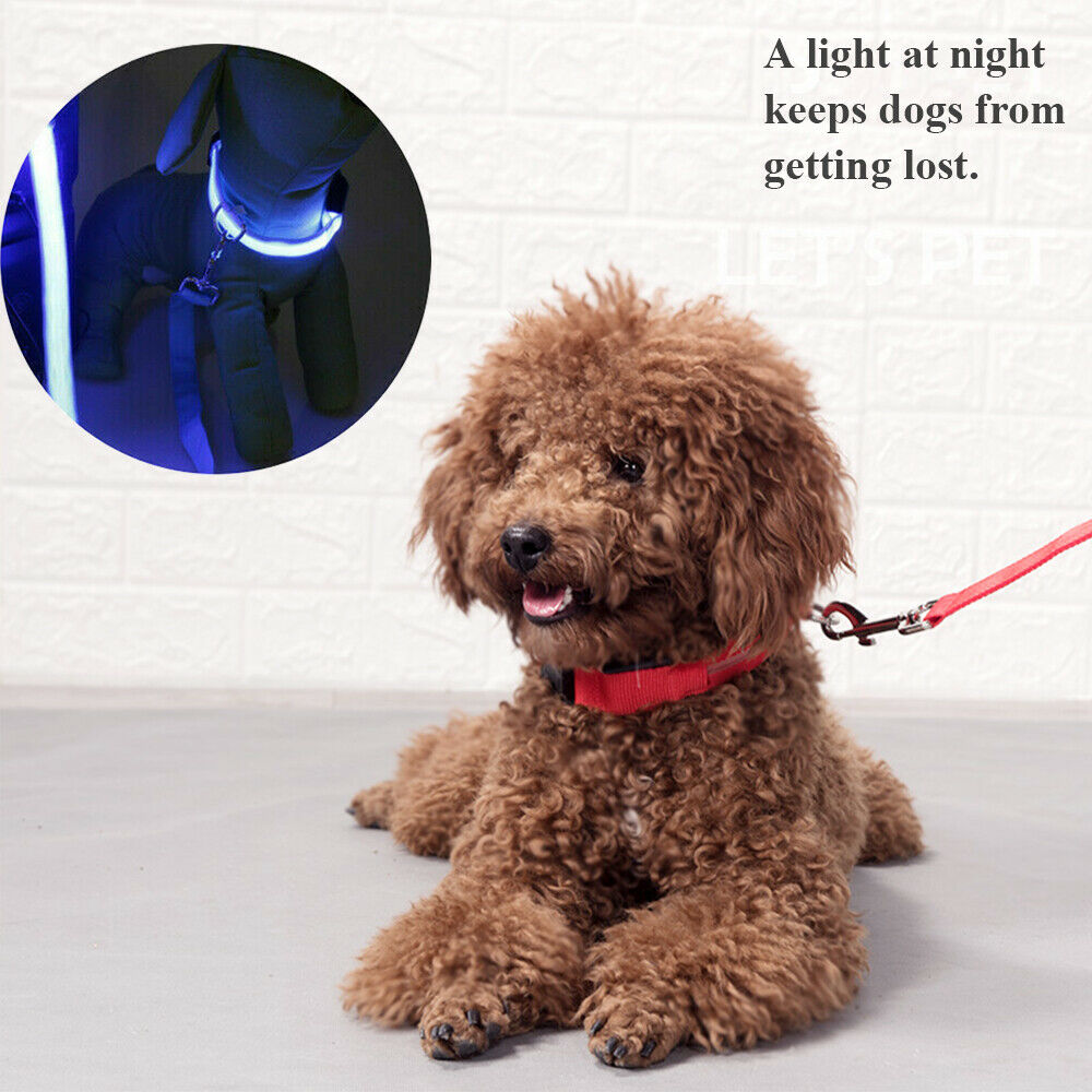 Safety Pet Dog LED Collar Night Flashing Light Up Adjustable Waterproof