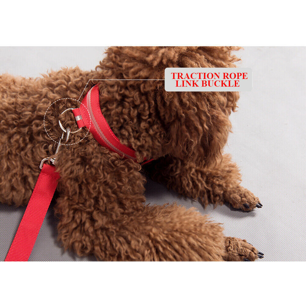 Safety Pet Dog LED Collar Night Flashing Light Up Adjustable Waterproof