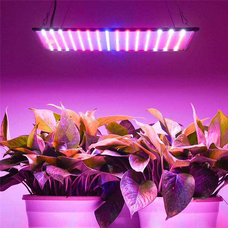 Lámpara de crecimiento de 1000W para plantas, luz Led de espectro completo, Fitolampy, luz de hierbas de interior para invernadero, tienda de cultivo Led