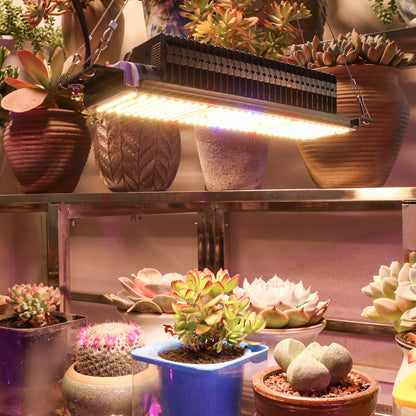 300W Full spectrum Growing Led Lamp Warm Light Phytolamp For Indoor Plant Vegetable Flower Led Lights For Speed Growing