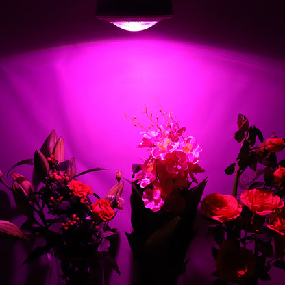 Luz LED COB de 150W para cultivo de invernadero, tienda de campaña, planta de interior, lámpara de punto de cultivo de hierbas vegetales y flores