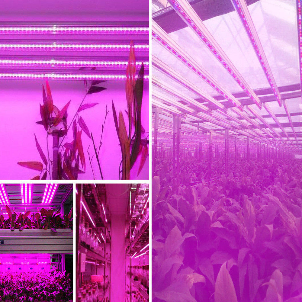 LED Grow Light Bar T8 Tube Full Spectrum Plant Lamp Phytolamp Hydroponic Cultivo Greenhouse Grow Tent