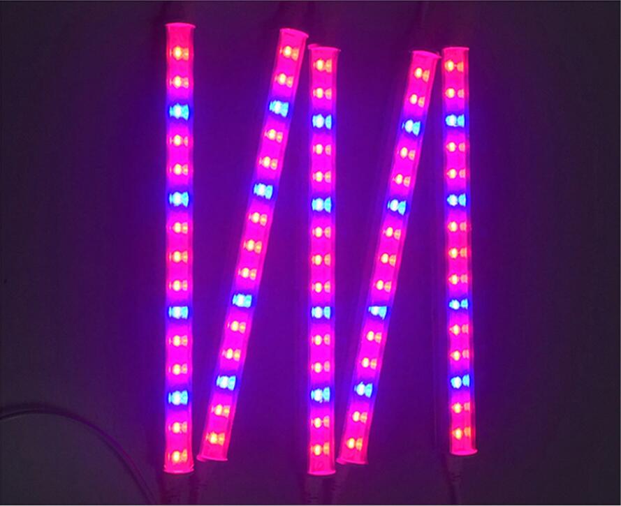 50W Full Spectrum LED Plant Grow Light Indoor Phyto Lamp Fitolamp SMD5730 Plants Growing Fitolampy Seed Flower Tent LED Lights