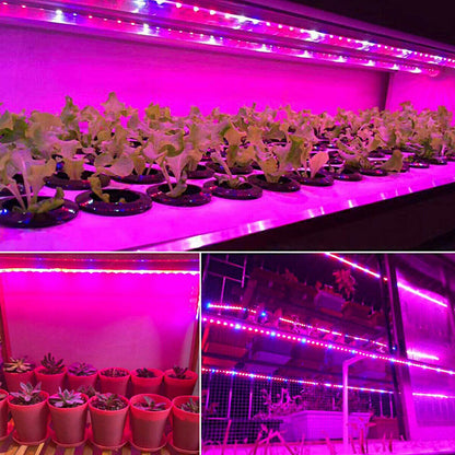 Tira de luces LED impermeable para cultivo, lámpara de espectro completo para plantas de sótano interior, verduras