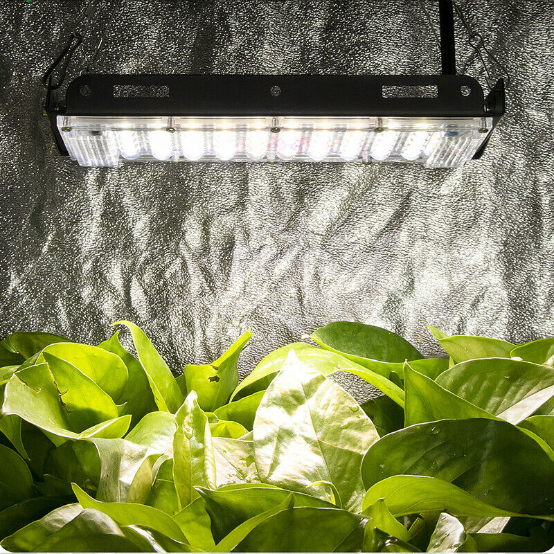 Waterproof 1000W LED Grow Light Full Spectrum for Indoor Plants Hydro Flower Veg