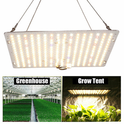 2000W LED Grow Light Kit Full Spectrum Sunlike For All Indoor Plant Veg Flower