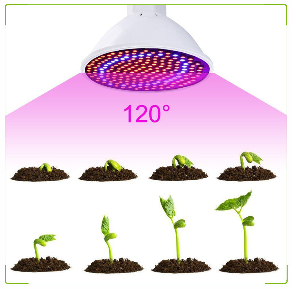 20W Led Grow Light with US/EU Plug 3M Wires E27 Bulb Holder Push Button Switch Portable Grow Lamps for Greenhouse Garden