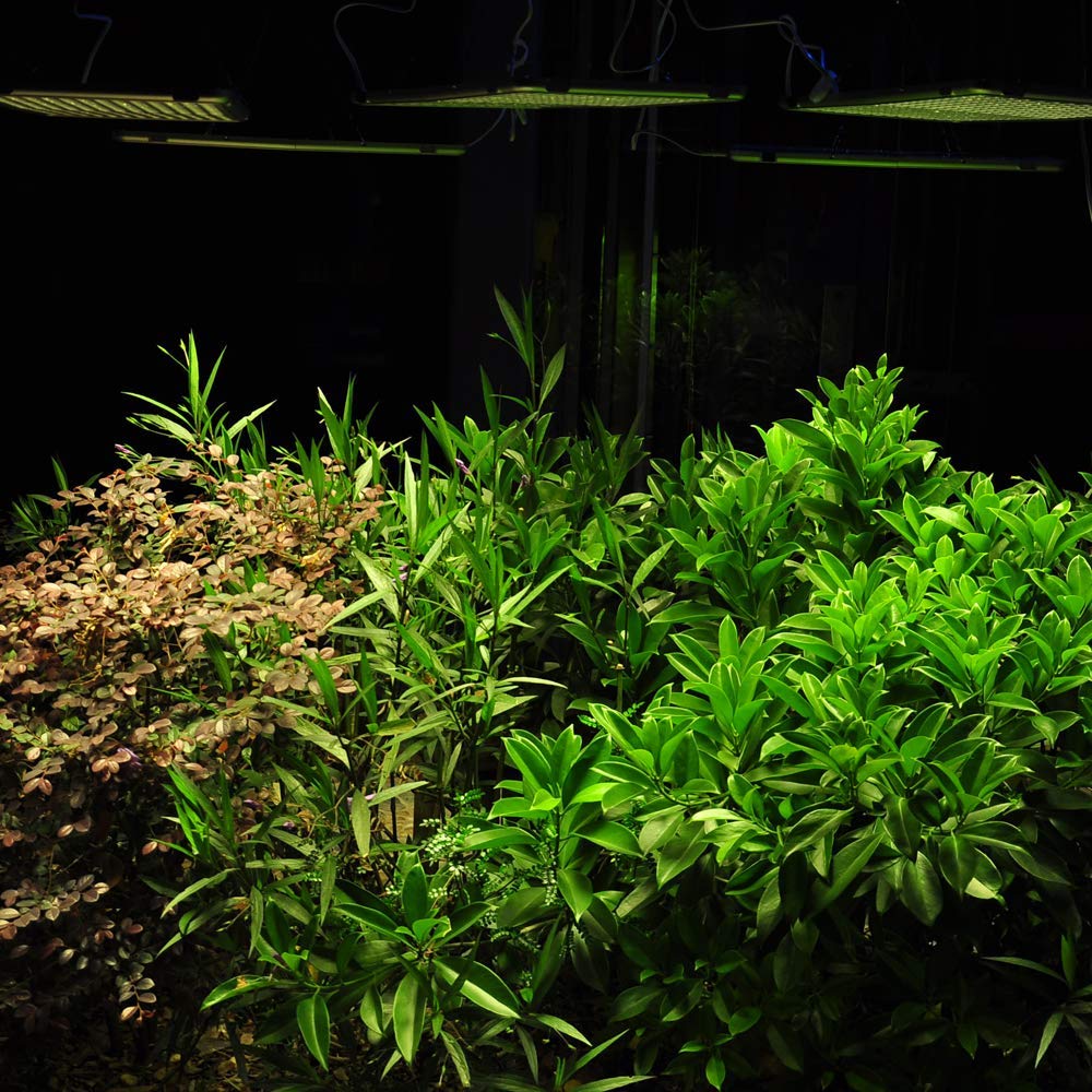 300W Full Spectrum Grow Light, Plant Light for Indoor Plants 338 Sunlike LEDs 22inch Large Indoor Plant Light Commercial Indoor Grow Panel Light for Seeding Veg and Flower