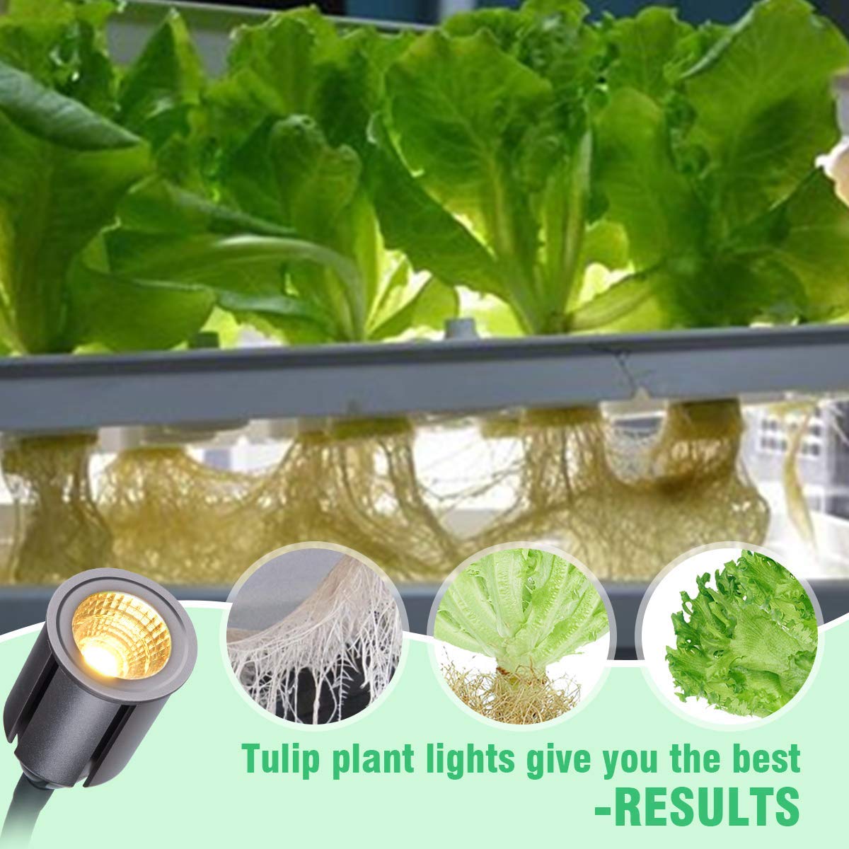 75W Full Spectrum Indoor Grow Light Plants 3/6/12H Auto On/Off Timer COB Grow Lamp