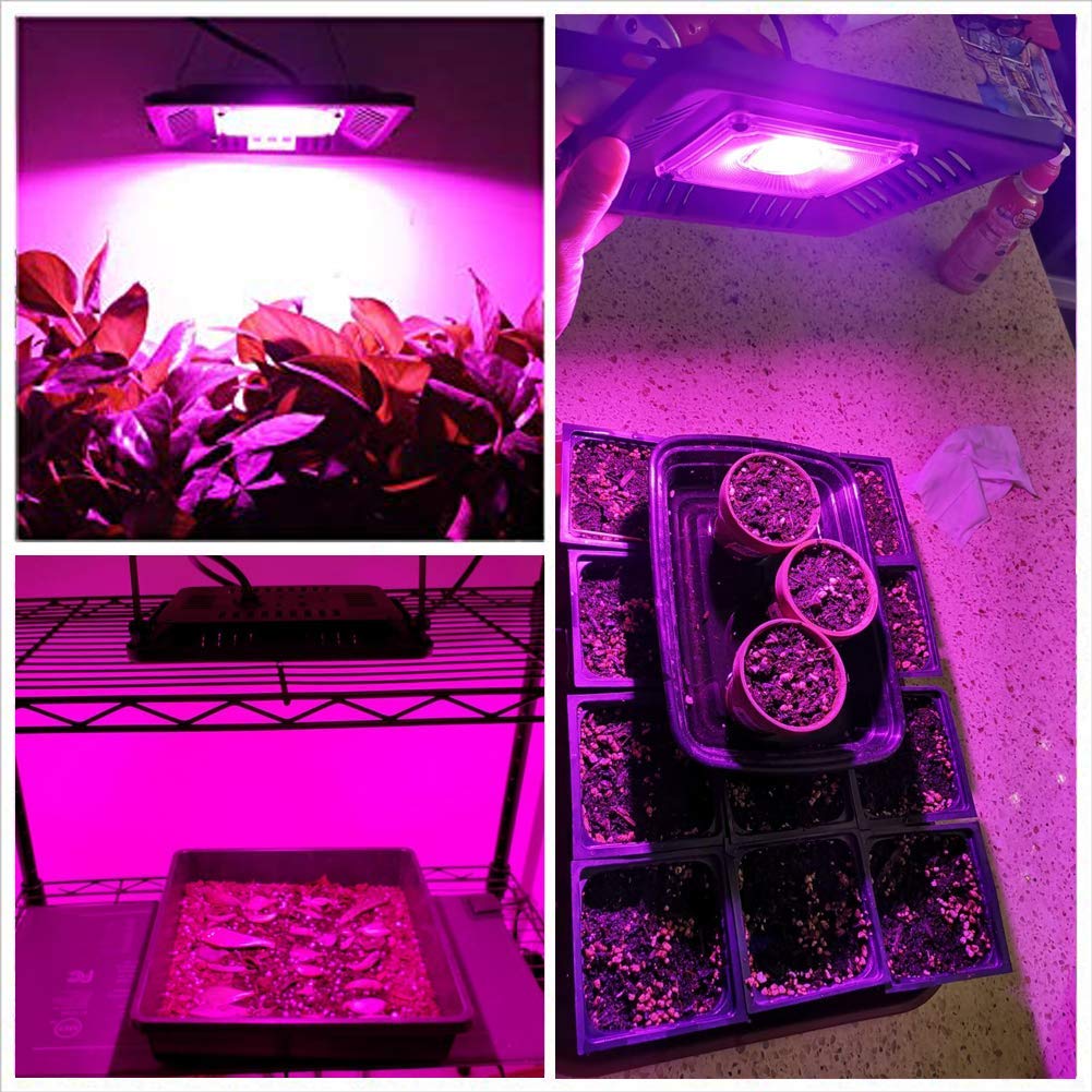 Luz LED COB para cultivo, luces de cultivo de 150w para plantas de interior, luces para plantas de espectro completo Kolem, Panel de luz impermeable para cultivo