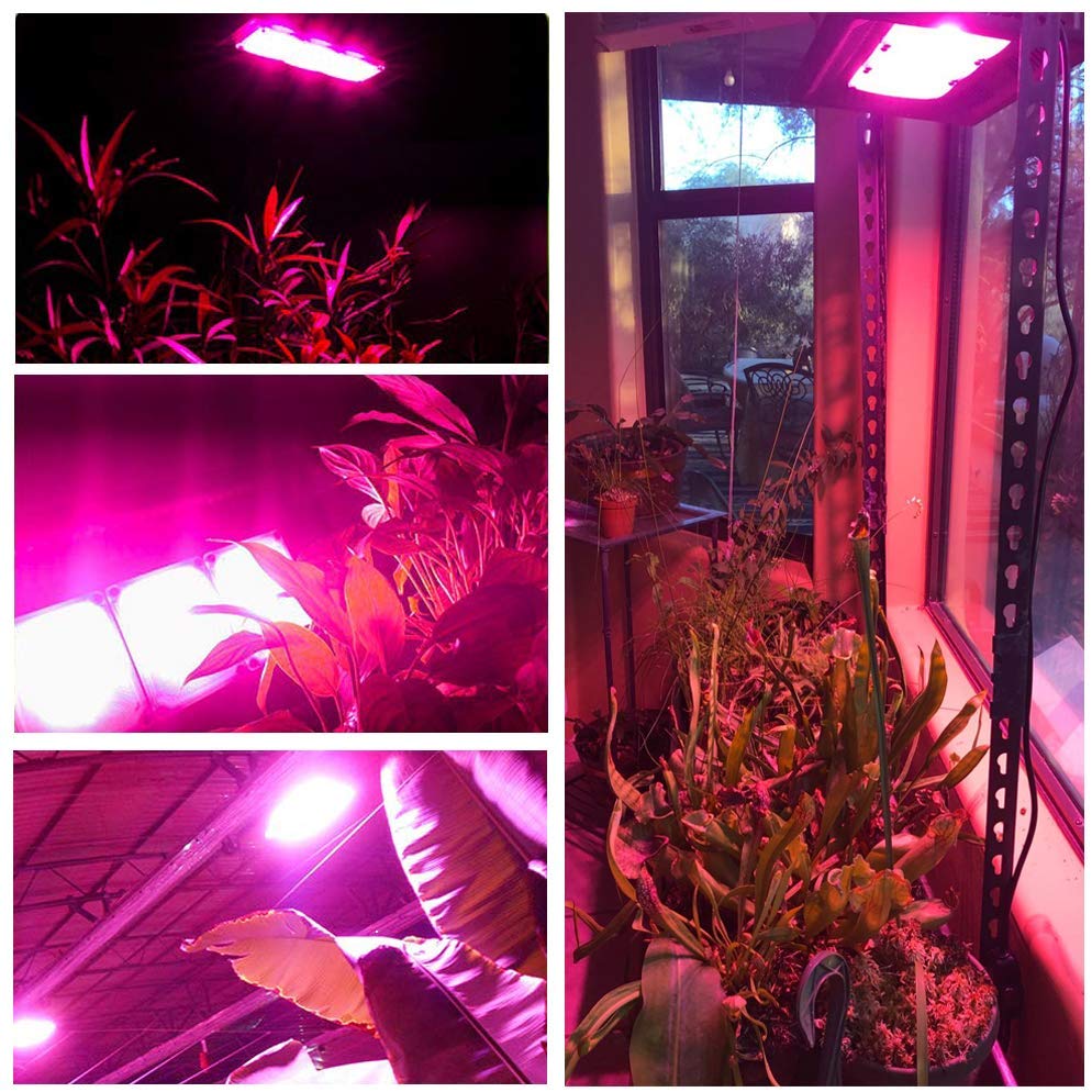 Luces de cultivo LED COB 450W Luz de cultivo para exteriores Disipación de calor natural Sin ruido Luz de panel de cultivo LED para plantas de interior, invernadero, jardín