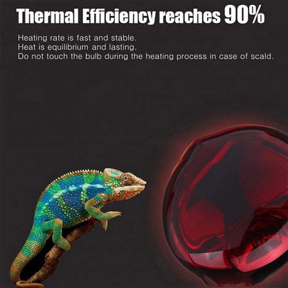 Lámpara de calefacción infrarroja/luz/bombilla 110 V E27 bombillas de luz para reptiles y anfibios como dragones barbudos tortugas pitones bola rojo