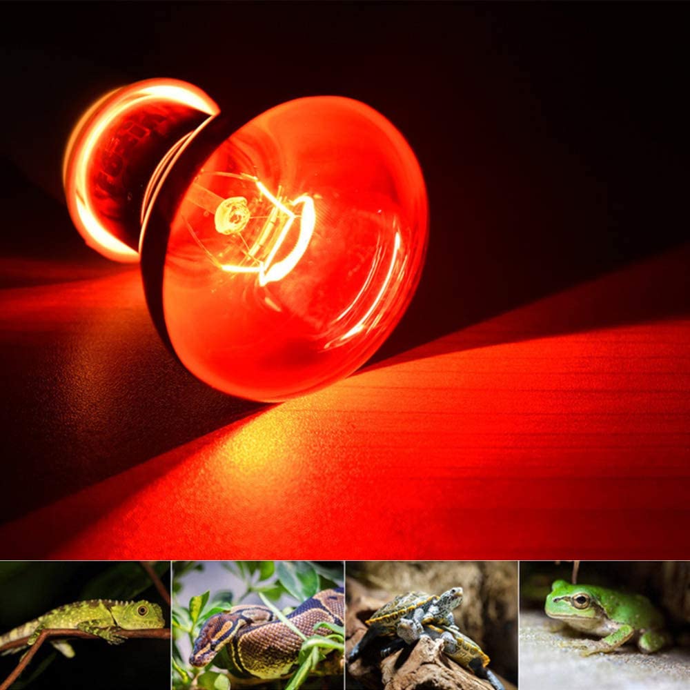 Infrared Heating Lamp/Light/Bulb 110v E27 Basking Spot Light Bulbs for Reptile and Amphibian as Bearded Dragons Turtles Ball Pythons Red