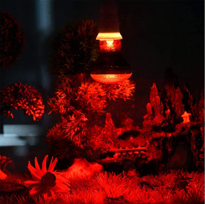 Lámpara de calefacción infrarroja/luz/bombilla 110 V E27 bombillas de luz para reptiles y anfibios como dragones barbudos tortugas pitones bola rojo
