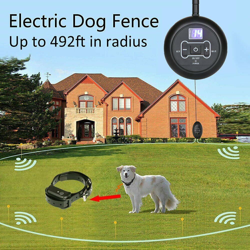 Collar eléctrico inalámbrico del choque del sistema de contención de la prenda impermeable de la cerca del perro para el perro