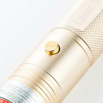 20Miles 532nm 303 Laser Pointer Lazer Pen Visible Beam Light+Charger