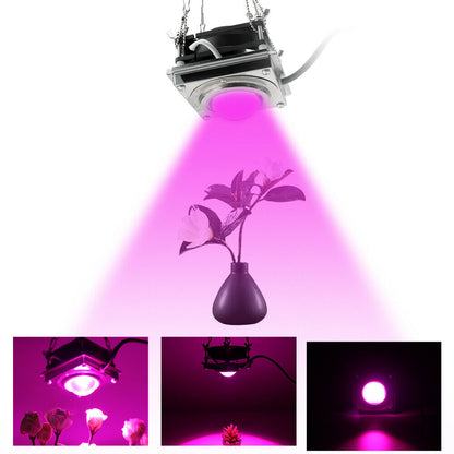 Ventilador de refrigeración de lámpara de espectro completo, luz LED COB de 3000W para plantas vegetales hidropónicas